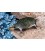 Tortue Feng Shui en laiton