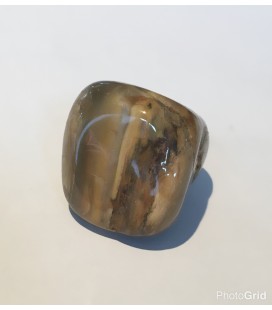 Pierre roulée bois fossile